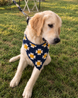 Dog Crochet Bandana