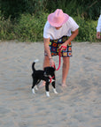 Granny Shorts