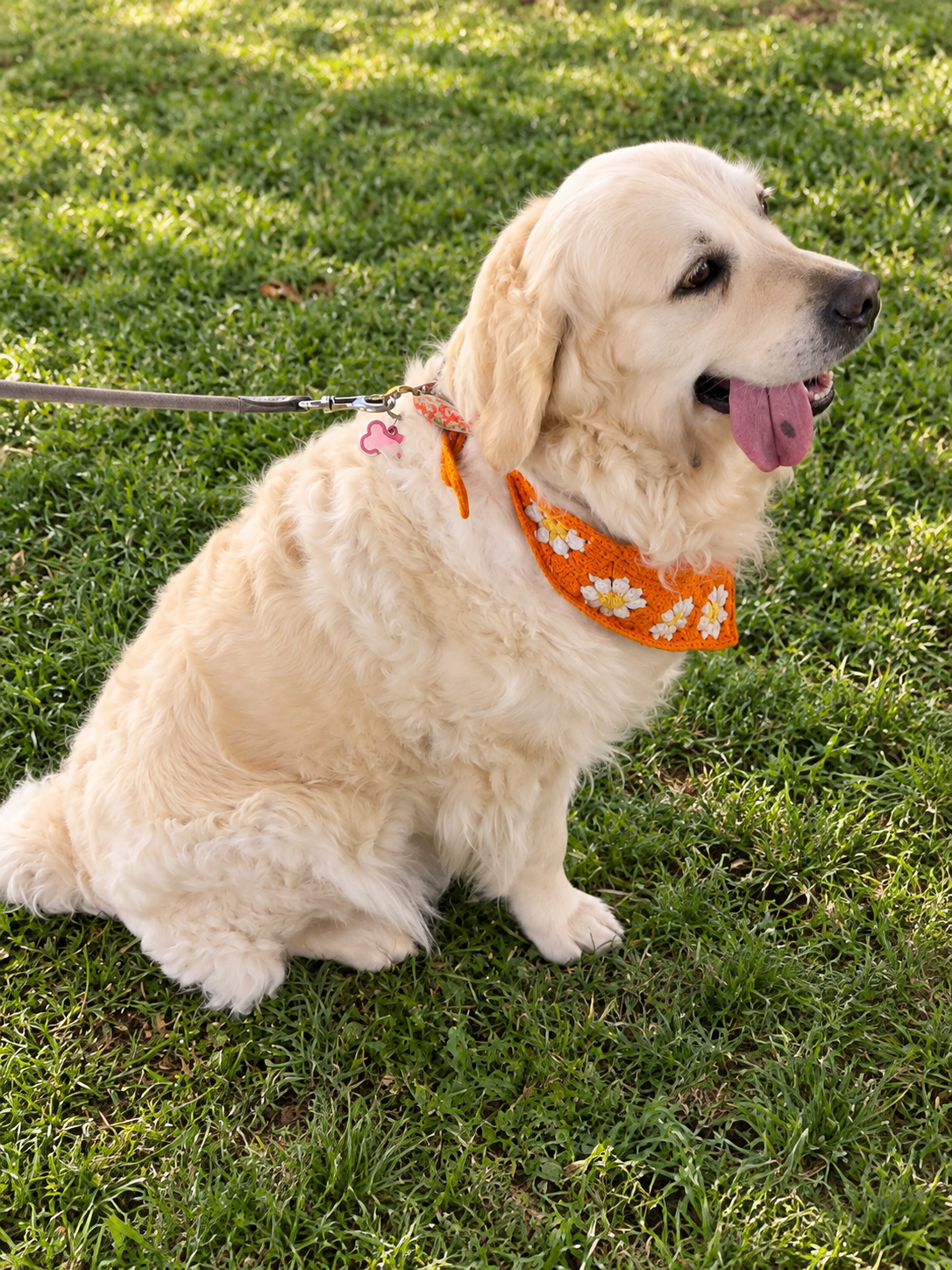 Dog Crochet Bandana
